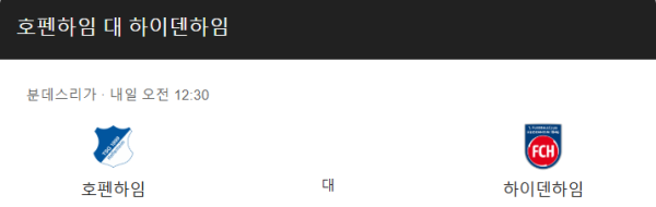 호펜하임과 하이덴하임 경기 예상 스코어 및 베팅 추천