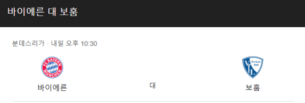보훔 최근 경기력 분석 및 예상 스코어
