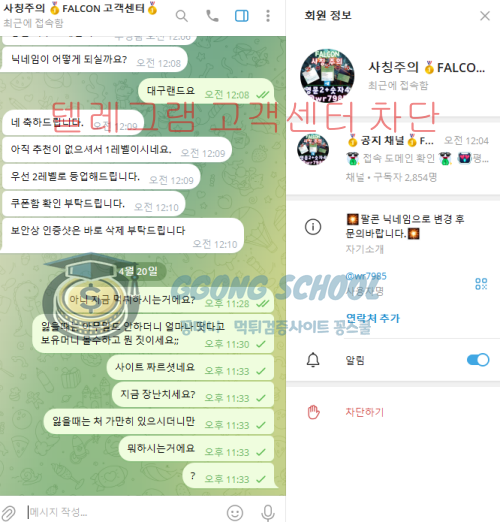 팔콘 사이트 추가입금 요구 대화내용