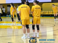 WKBL 3월 8일 - 청주 KB스타즈 vs 아산 우리은행 우리WON 경기 분석 및 승부 예측