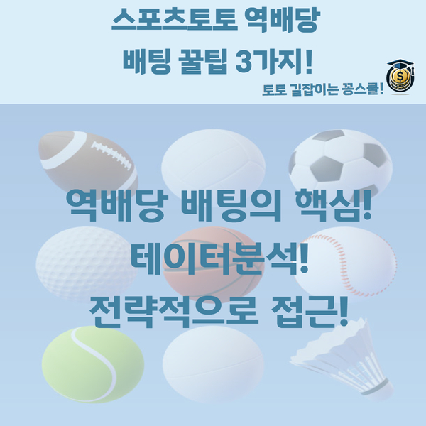 스포츠토토,토토,역배당,토토가이드